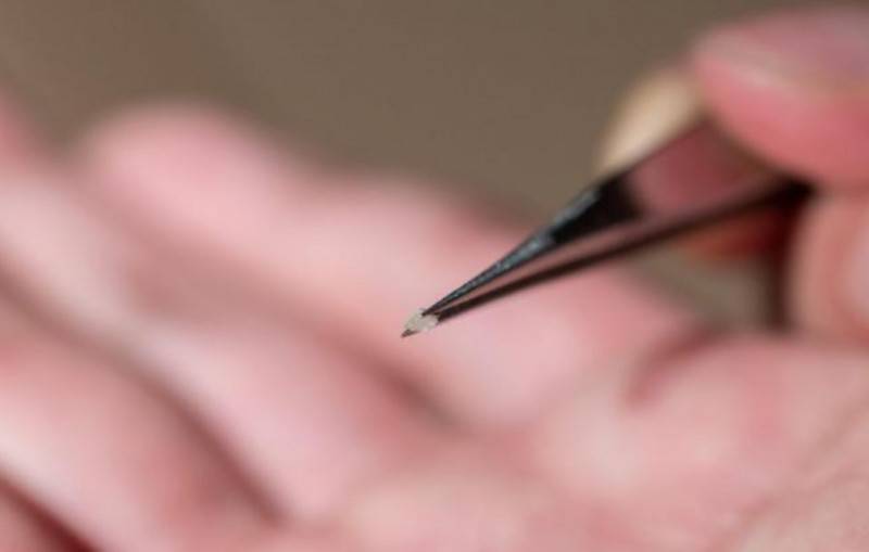 ���΁������WԺ�аl��С���׺�����Ҋ��3D��ӡ�C����