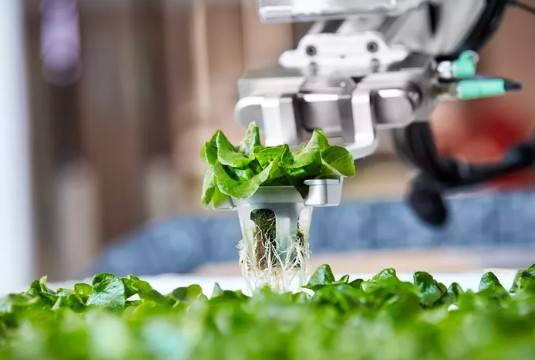 δ���ęC�����r(n��ng)��������������������