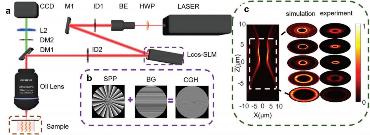中國科大研制遠程可控的磁控微納機器人用于靶向藥物治療