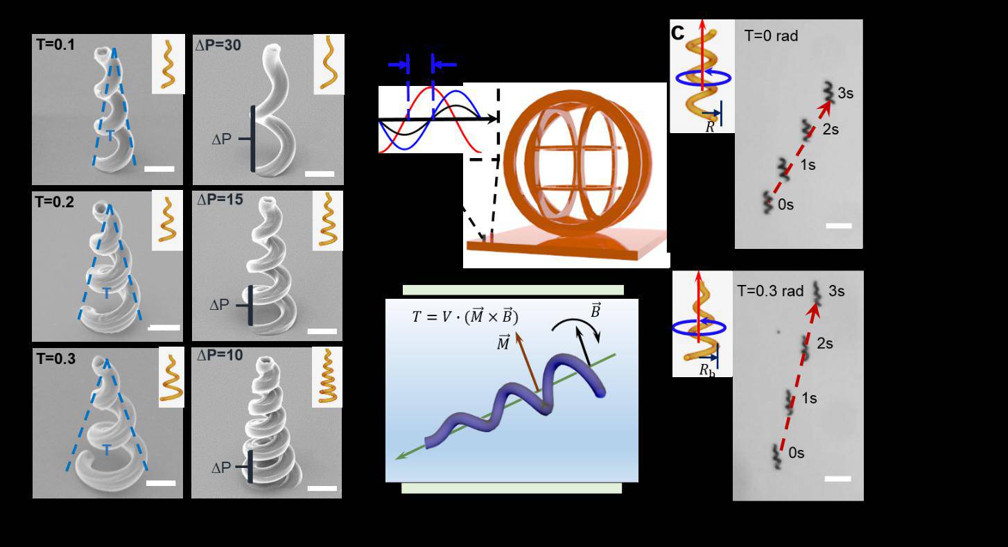 中國科大研制遠程可控的磁控微納機器人用于靶向藥物治療