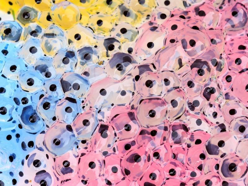 ��(x��)����C(j��)���˹��ܣ�������ƌW(xu��)�Ҍ��F(xi��n)ͻ��