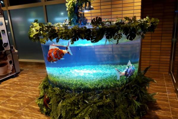 �^�p�~�C�����Ј����_���ߡ���AIROˮ�C�����ݳ�ϵ�y(t��ng)�_�l(f��)......ˮ���^�����}���@�Ј���չ