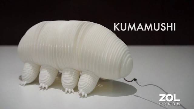 �ձ��_�l(f��)��3D��ӡ����l(f��)�C����