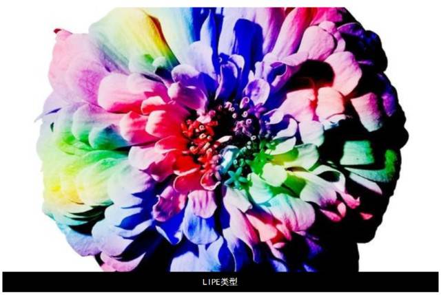 正念冥想機(jī)器人-激發(fā)潛在創(chuàng)意