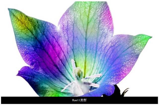 正念冥想機(jī)器人-激發(fā)潛在創(chuàng)意