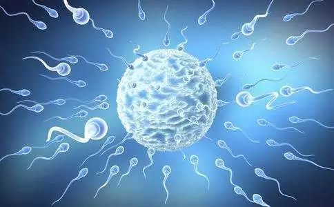 �ɹ������ܾ��ӆ��l(f��)��΢�͙C���˿������w���΄ӣ��\��ˎ��