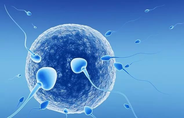 �ɹ������ܾ��ӆ��l(f��)��΢�͙C���˿������w���΄ӣ��\��ˎ��