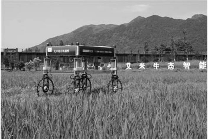 浙江首個5G智慧農業上線 機器人巡田無人機噴灑