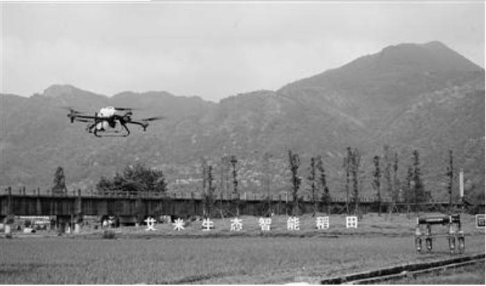 浙江首個5G智慧農業上線 機器人巡田無人機噴灑