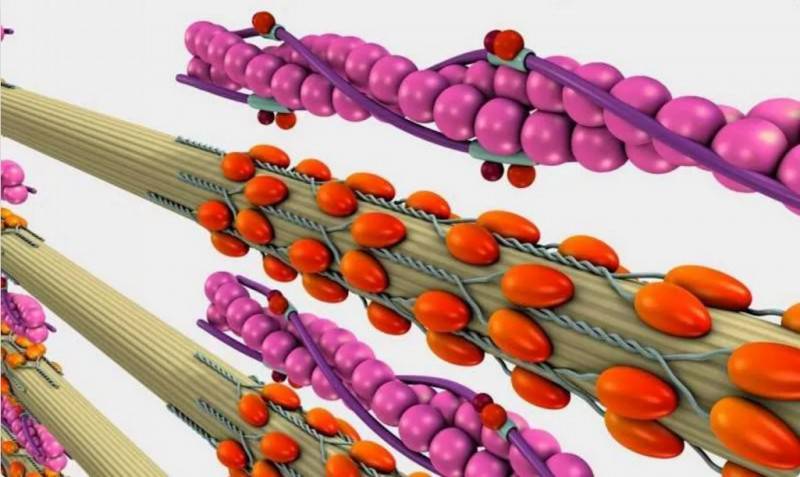 T800��܊�C���˲�����������R�_���������\�ӣ�