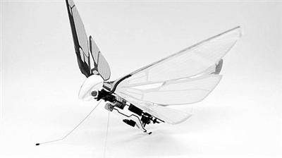 像蝴蝶一樣扇動翅膀飛行的無人機