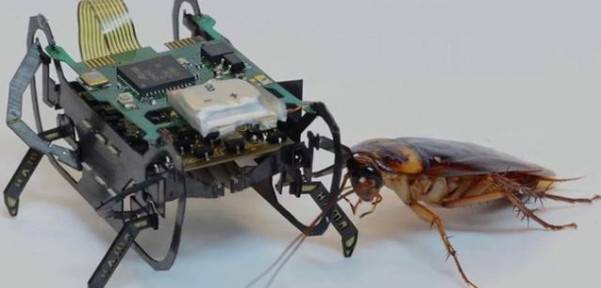 細思極恐!未來你看到的這些動物,可能都是機器人!