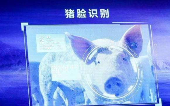 京東入局機器人養(yǎng)豬,農(nóng)業(yè)市場細(xì)分是否潛力巨大?