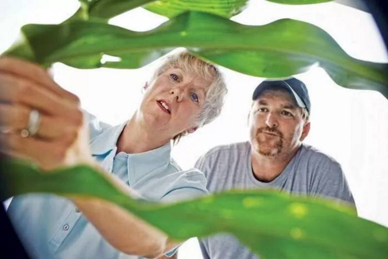 美國農業不靠金坷垃,靠的是機器人!