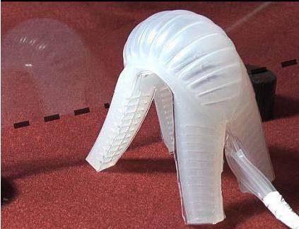 �¼��g���о��ˆT�l�Fһ�N�·�����������ܛ�w�C����